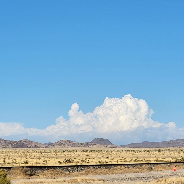 Trans-Pecos Botany with Dr Mike Powell - podcast episode cover