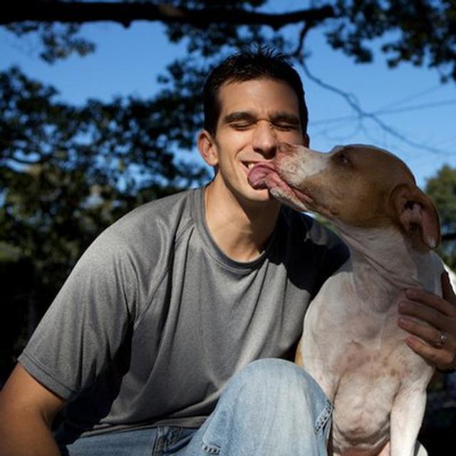 Episode 246 - Pet Business Success Secrets with Fernando Camacho - podcast episode cover