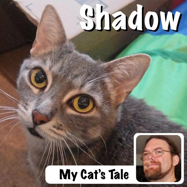 My Cat’s Tale: Shadow and Taffy - podcast episode cover