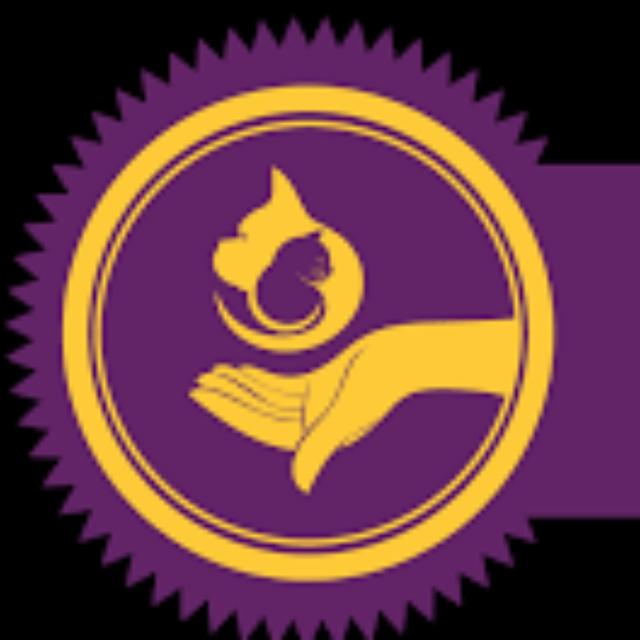 PACCERT: The Professional Animal Care Certification Council - podcast episode cover