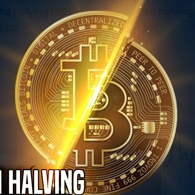 #315: The Halving With Dallas Rushing - podcast episode cover