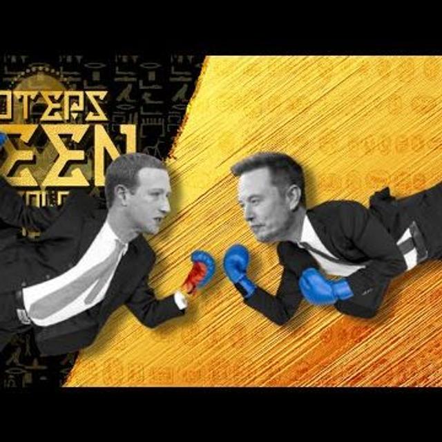 Election Season Grifts Everywhere - HBTY 322 - podcast episode cover