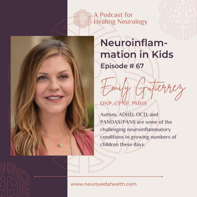 #67 Emily Gutierrez, DNP, CPNP, PMHS: Neuroinflammation in Kids including Autism, OCD, ADHD, PANDAS/PANS - podcast episode cover