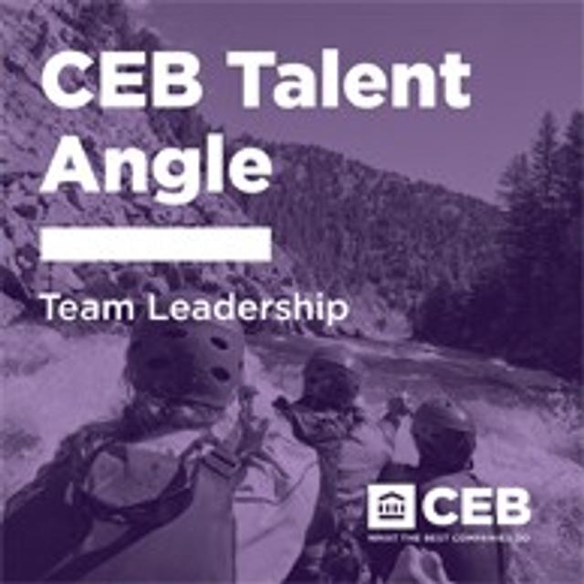Team Leadership - podcast episode cover