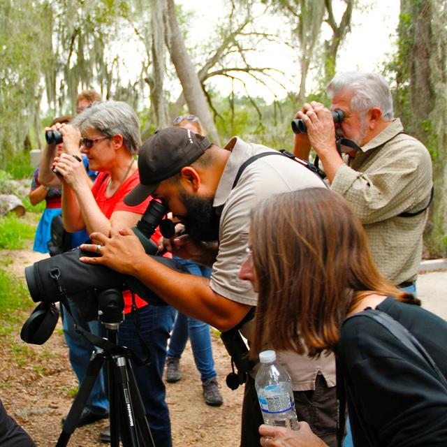 Lower Rio Grande Valley’s legendary birds, butterflies and dragonflies - podcast episode cover