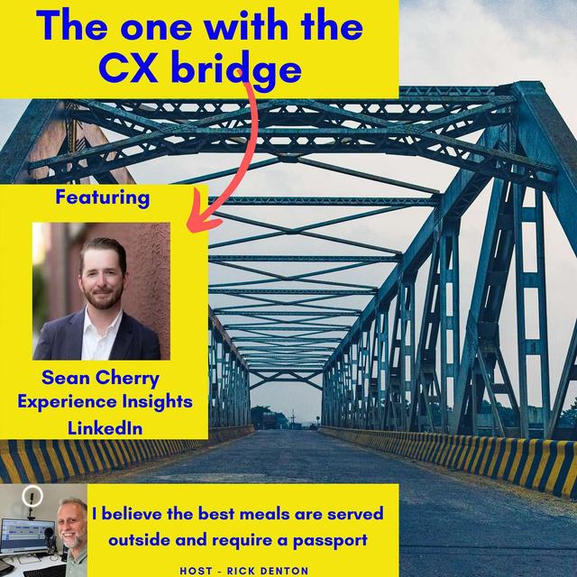 The one with the CX bridge - Sean Cherry Experience Insights at LinkedIn E201 - podcast episode cover