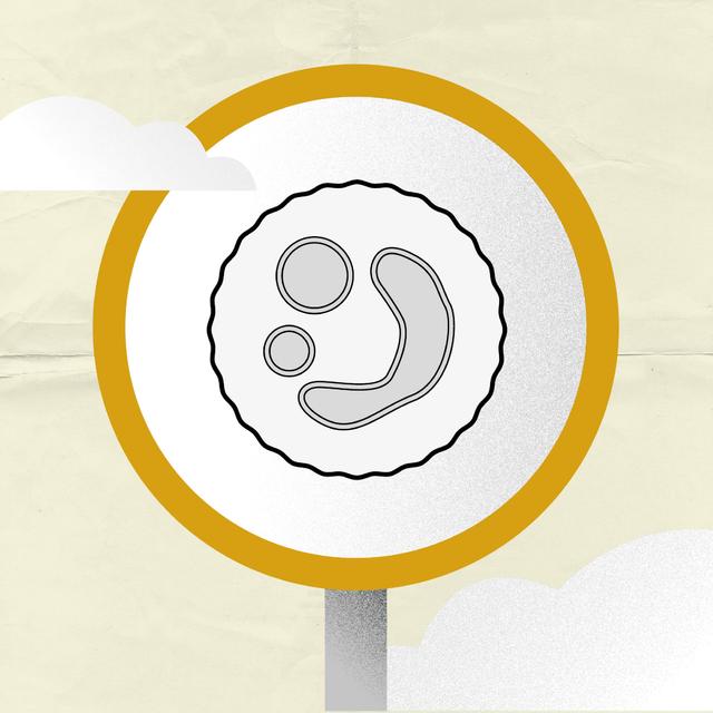 Episode 4: Immunology and Infectious Disease - podcast episode cover