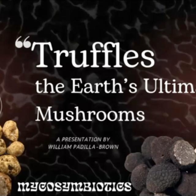 Truffles: the Earth's Ultimate Mushrooms with William Padilla Brown | R-Future 2024 REWIND - podcast episode cover