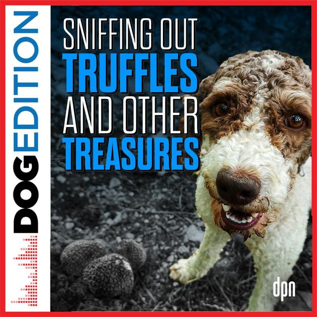 Sniffing Out Truffles and Other Treasures | Dog Edition #56 - podcast episode cover