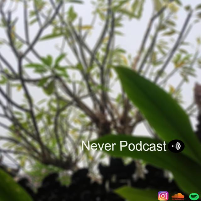 New normal | 07 - podcast episode cover