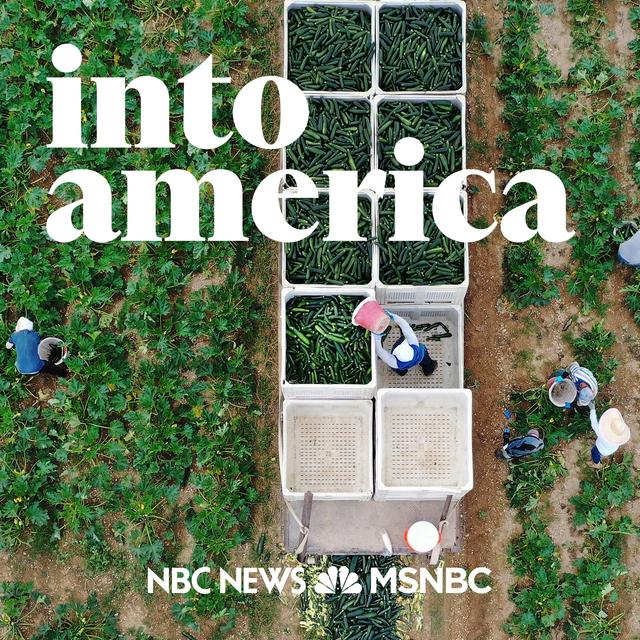 Into Protecting Florida Farmworkers - podcast episode cover