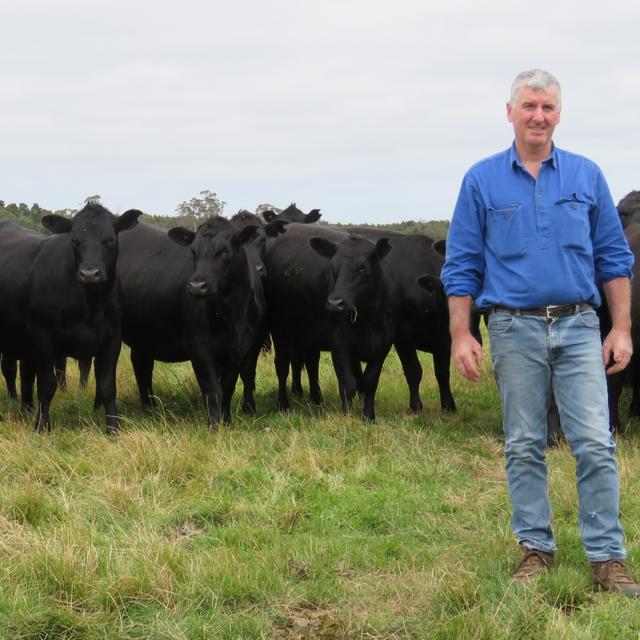 Episode 23: Colin Henke - The Power of Genetic Turnover - podcast episode cover