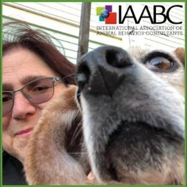 Marjie Alonso - Executive Director IAABC; The lemonade conference - podcast episode cover