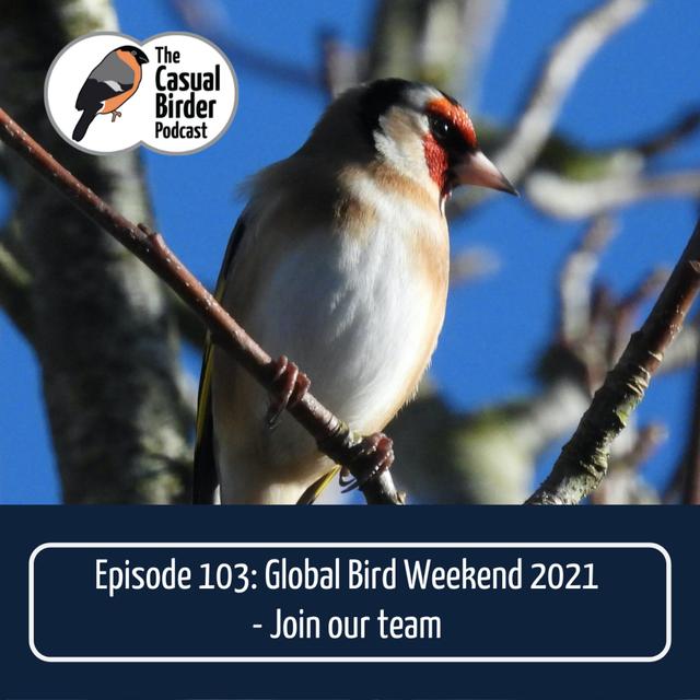 Global Bird Weekend. Join our team #103 - podcast episode cover