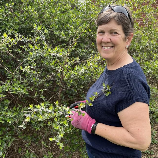 Spring Pruning Tips - podcast episode cover