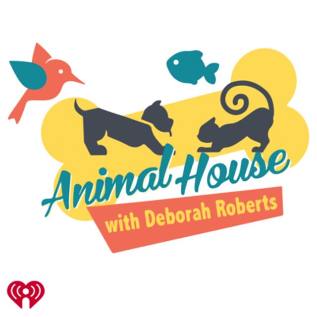 JCS: Pet Alliance of Greater Orlando - podcast episode cover