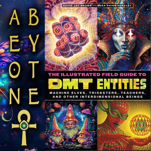 David Jay Brown on Machine Elves, Tricksters & Other Interdimensional Beings - podcast episode cover