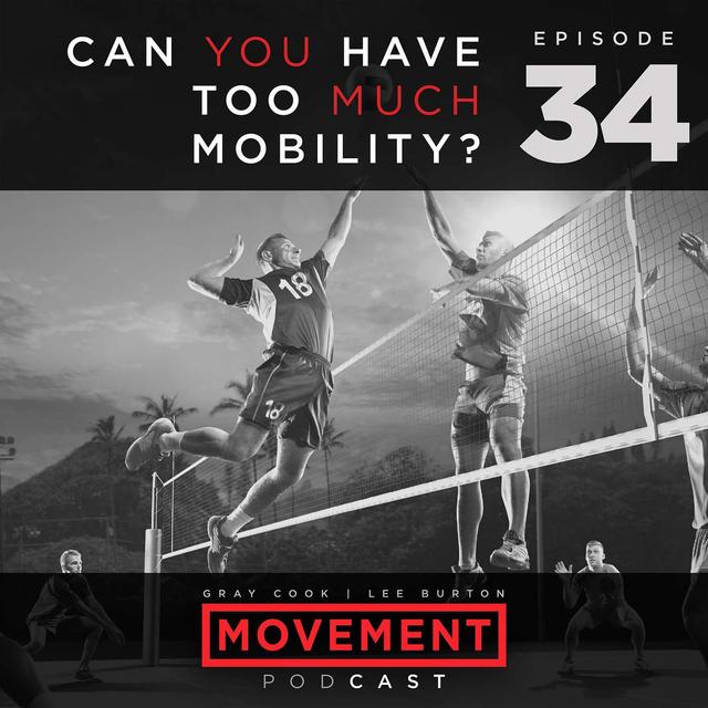Can You Have Too Much Mobility? - podcast episode cover