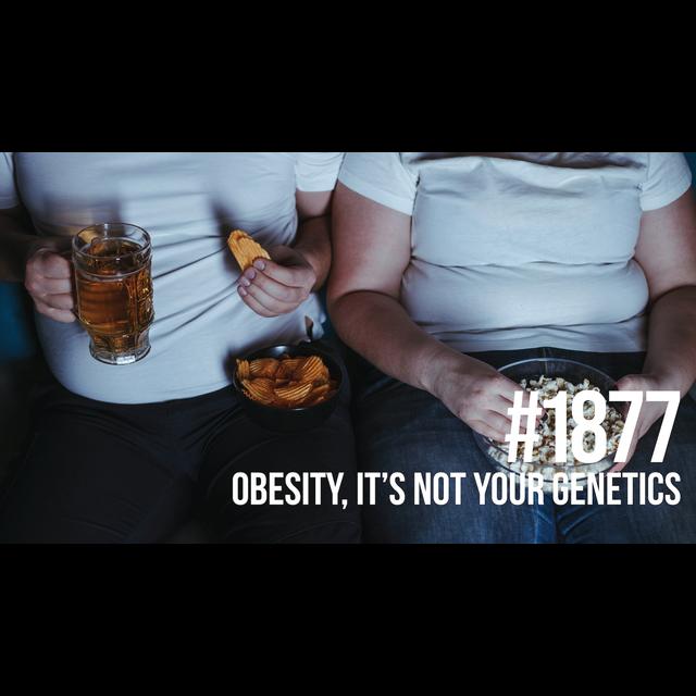 1877: Obesity, It’s Not Your Genetics - podcast episode cover