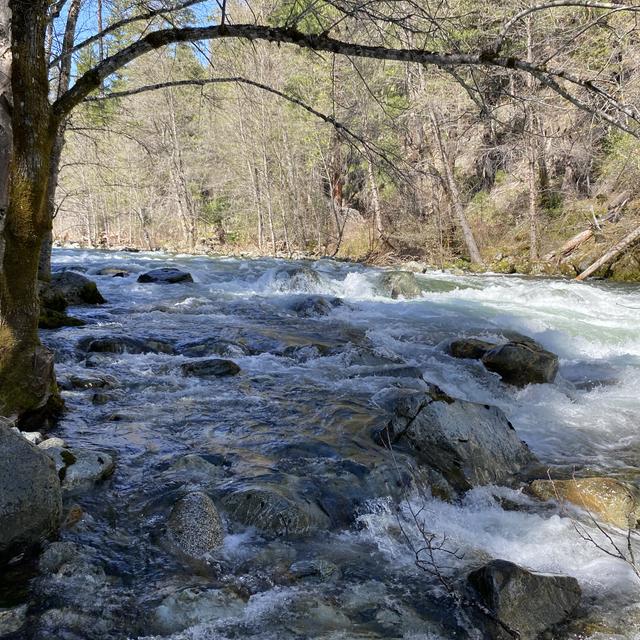 174: All Night Beside the North Fork of the Salmon River - podcast episode cover