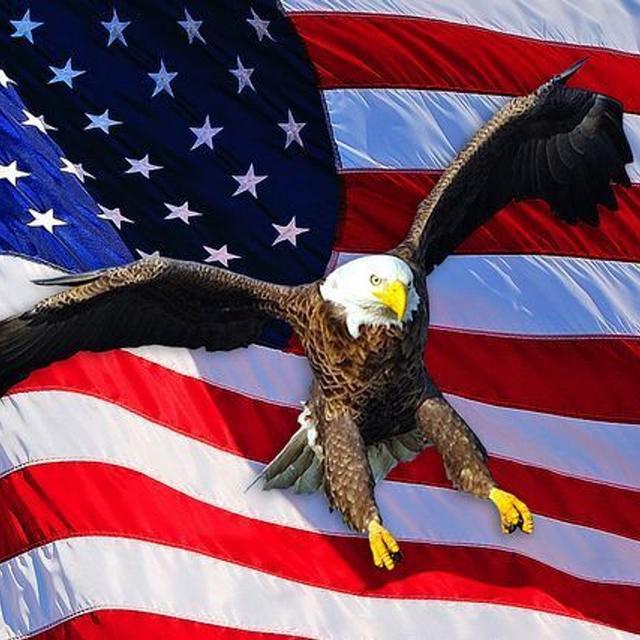 S5 Ep59: Raise a Flag & Secure the Bag: Episode 59 (The Story of the Pledge of Allegiance) - podcast episode cover