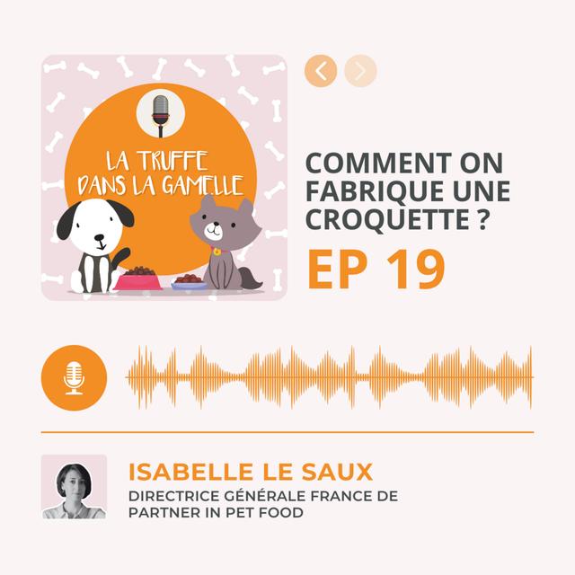 Comment on fabrique une croquette ? - podcast episode cover