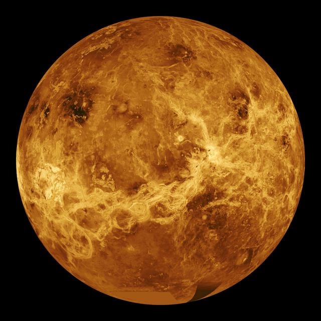 Things You Thought You Knew – Venus Pizza - podcast episode cover
