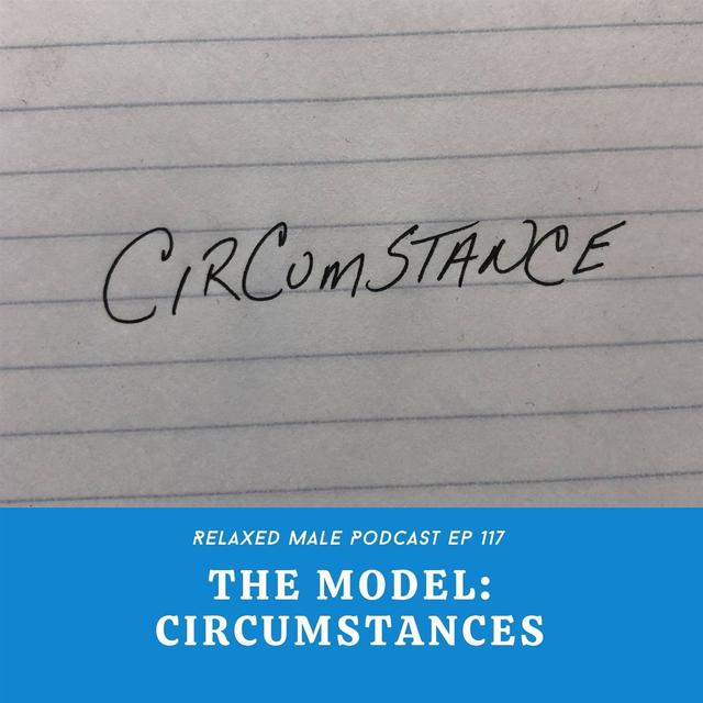 The Model:Your Circumstance - podcast episode cover