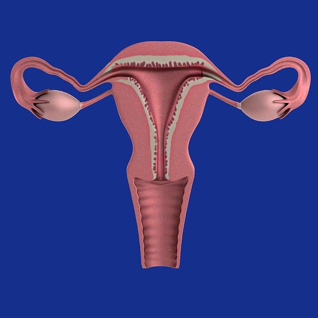 Episode 690: Not in My Back Uterus - podcast episode cover