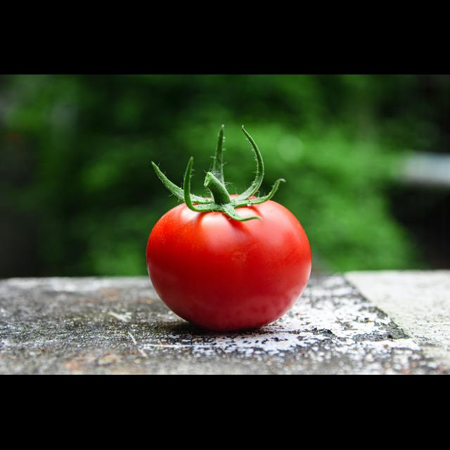 Episode 4 - You say tomato, I say tohmatoe - podcast episode cover