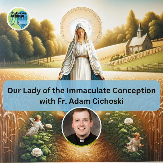 The Immaculate Conception with Fr. Adam Cichoski - podcast episode cover