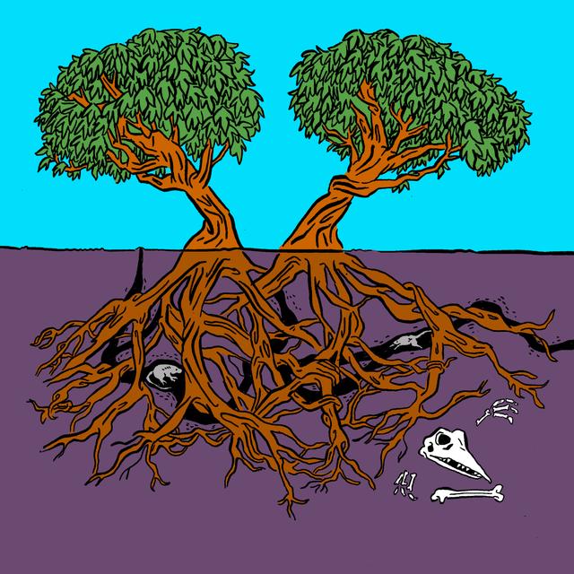 CROWN SHYNESS (w/Aimee Nezhukumatathil) - podcast episode cover