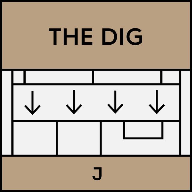 Dig: Bidenomics w/ Daniela Gabor, Ted Fertik, & Tim Sahay - podcast episode cover