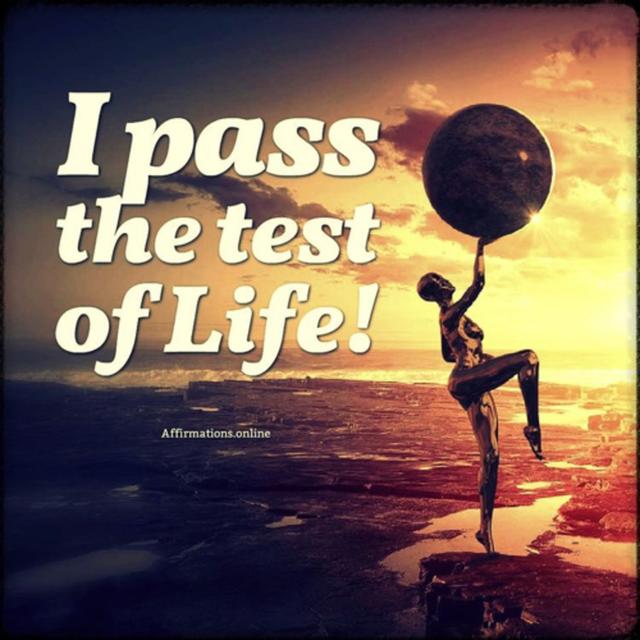 The Test - podcast episode cover