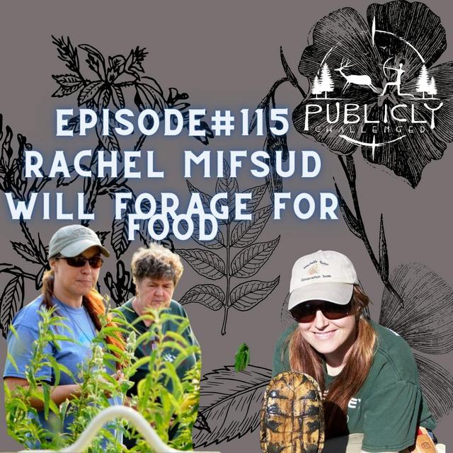 EPISODE#115-RACHEL MIFSUD - podcast episode cover