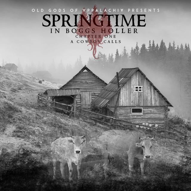Springtime in Boggs Holler – Chapter One: A Cowboy Calls - podcast episode cover