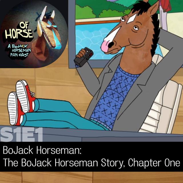 S1E01 - BoJack Horseman: The BoJack Horseman Story, Chapter One - podcast episode cover