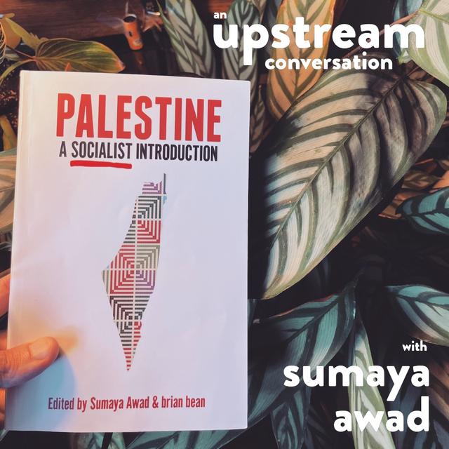 Palestine Pt. 1: A Socialist Introduction with Sumaya Awad - podcast episode cover