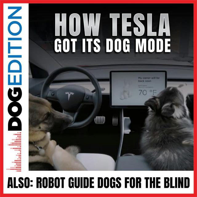 How Tesla Got Its Dog Mode | Robot Guide Dogs For The Blind | Dog Edition #25 - podcast episode cover