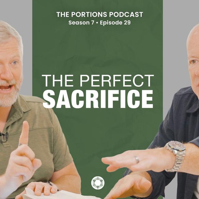 S7 | E29: The Perfect Sacrifice - podcast episode cover