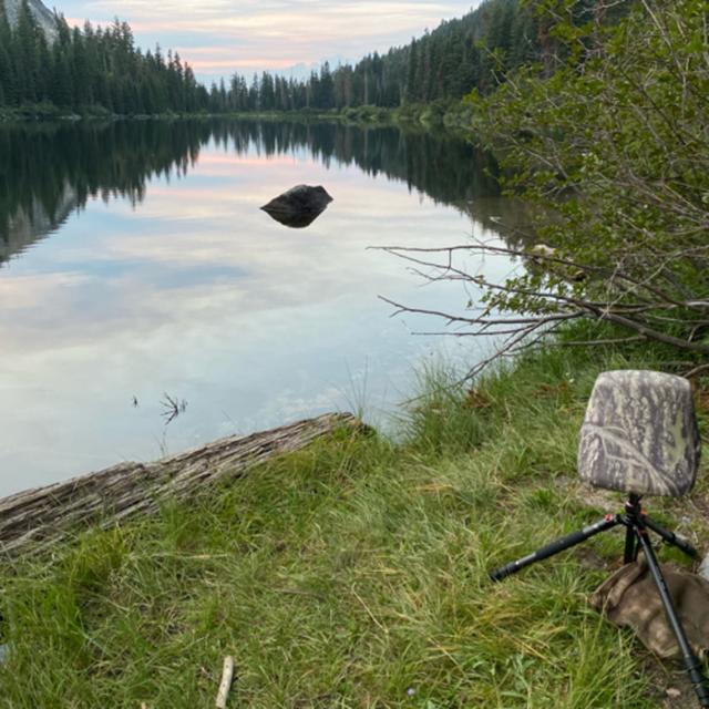 149: Russian Wilderness- Midnight Till Morning Beside Taylor Lake - podcast episode cover