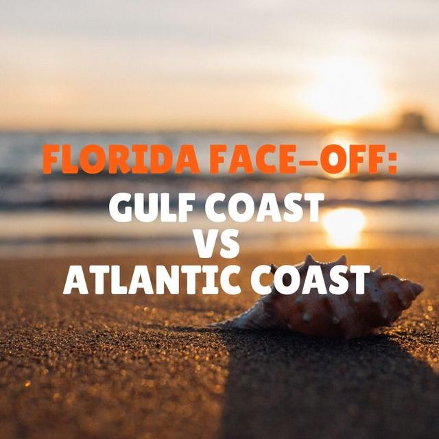Florida Face-Off: Gulf coast vs. Atlantic coast beaches - podcast episode cover