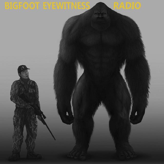Now I Know They’re Real - Bigfoot Eyewitness Episode 436 - podcast episode cover