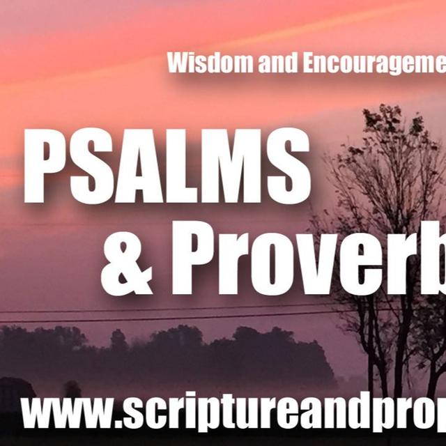 Psalm 48-49 & Proverbs 2: Why Should I Fear in Times of Trouble? - podcast episode cover