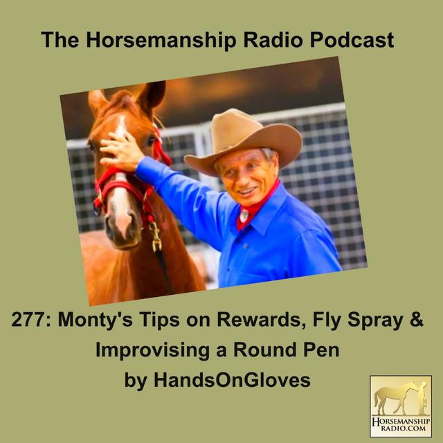 277: Monty's Tips on Rewards, Fly Spray & Improvising a Round Pen by HandsOnGloves - podcast episode cover