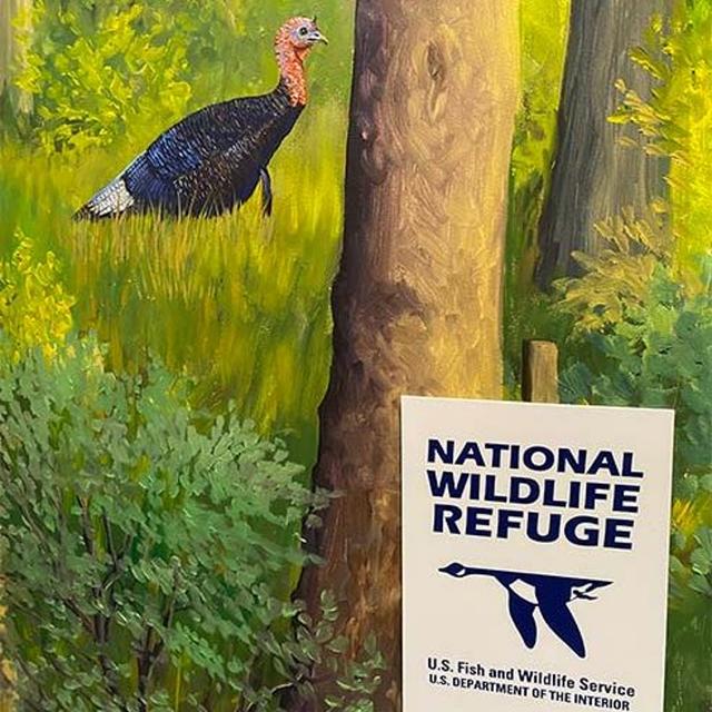 TW 291 - Tennessee National Wildlife Refuge - podcast episode cover