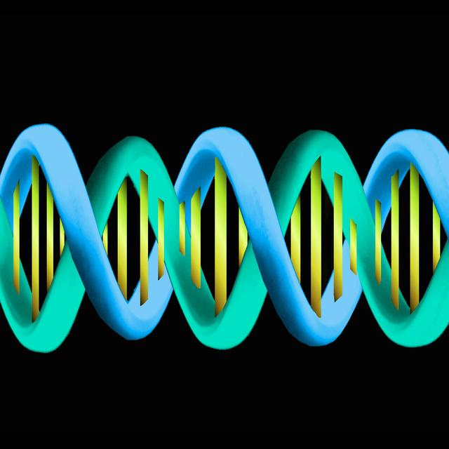 Ancient Clan War Explains Genetic Diversity Drop - podcast episode cover