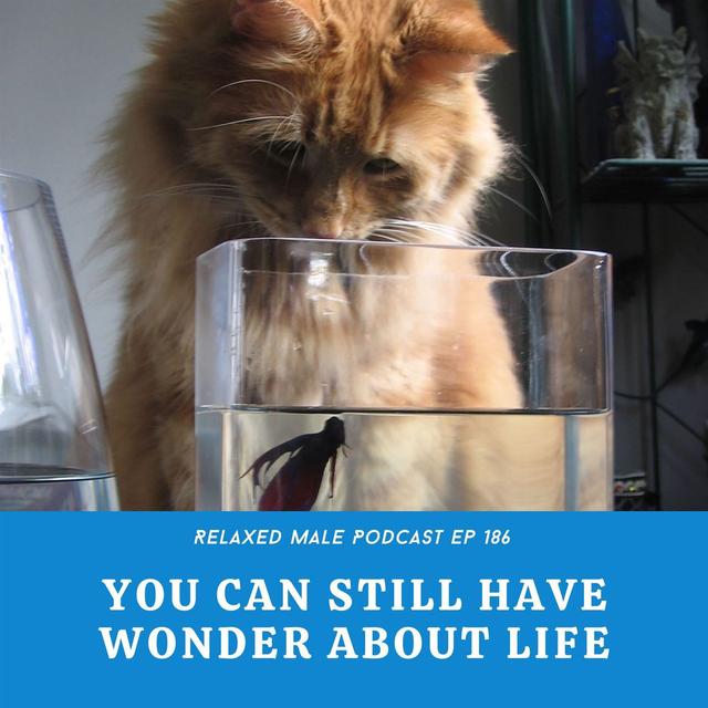 You Can Still Have Wonder About Life - podcast episode cover