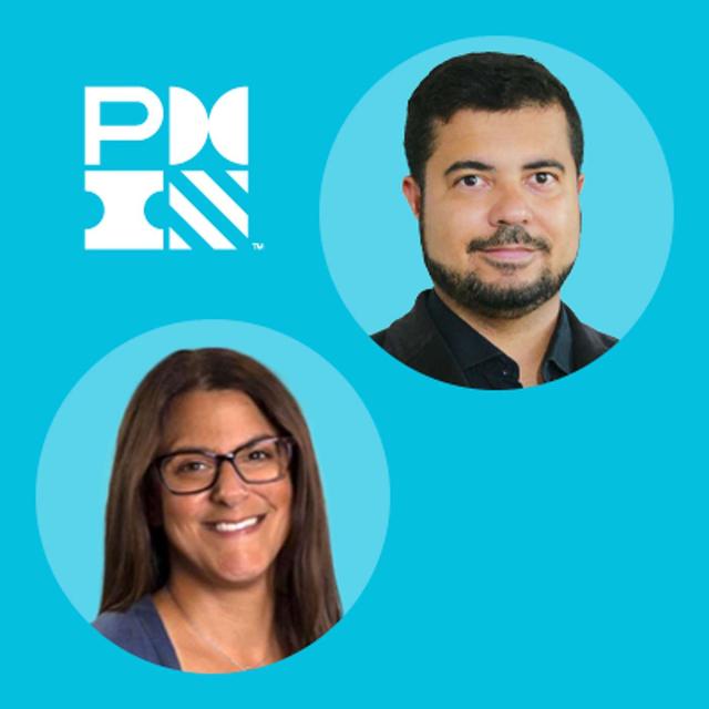 Support System: Empowering Project Professionals to Find Better Ways of Working - podcast episode cover