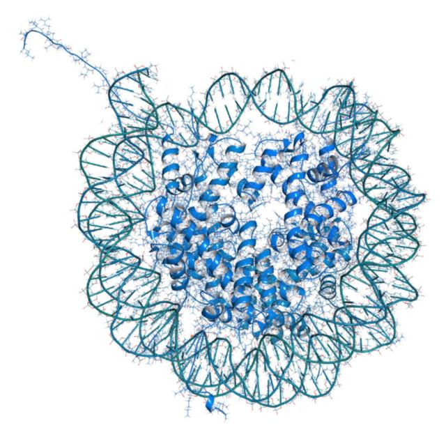The epigenetic clock - podcast episode cover